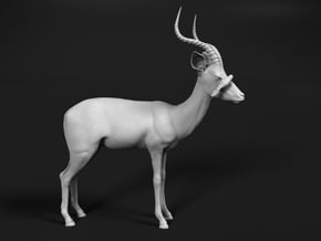 Impala 1:24 Male with Red-Billed Oxpecker in White Natural Versatile Plastic
