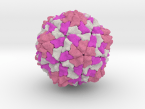 Rice Yellow Mottle Virus in Full Color Sandstone