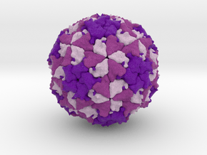 Theiler's Encephalomyelitis Virus  in Full Color Sandstone