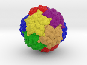 Penicillium chrysogenum Virus in Full Color Sandstone