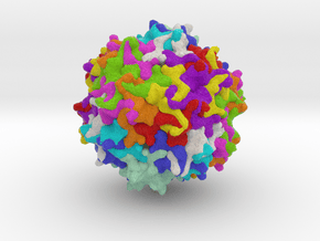 Adeno-Associated Virus 1 in Full Color Sandstone