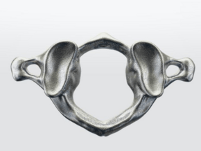 Atlas C1 Vertebrae Pendant in Natural Silver: Medium