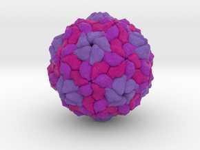  Human Parechovirus in Full Color Sandstone