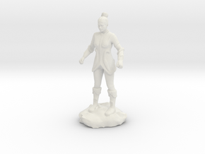 Female Human Fighter with Elven influenced armor. in White Natural Versatile Plastic