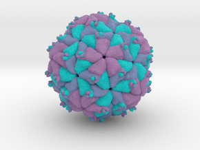 Pariacoto Virus in Full Color Sandstone
