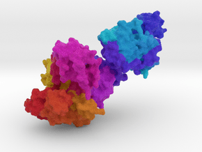 Taq Polymerase in Full Color Sandstone