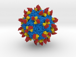 Canine Parvovirus with Antibodies in Full Color Sandstone