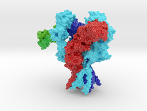 NMDA Receptor  in Glossy Full Color Sandstone: Small