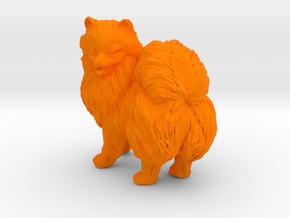 1/12 Color Pomeranian in Orange Processed Versatile Plastic