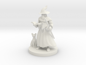 A Wizard and His Kitty in White Natural Versatile Plastic