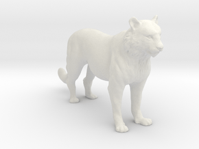 Printle Animal Tiger - 1/24 in White Natural Versatile Plastic