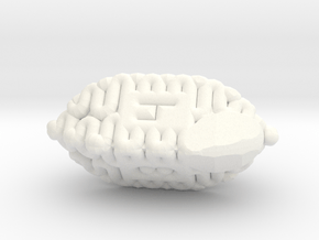 Brain d4 in White Processed Versatile Plastic