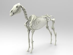 Horse Skeleton Sculpture 1:9 in White Natural Versatile Plastic