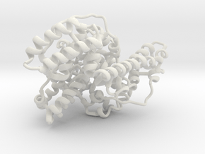 Human Serum Albumin bound to Zn(II),Cu(II) in White Natural Versatile Plastic
