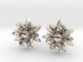 Silver crystal ear rings in Platinum