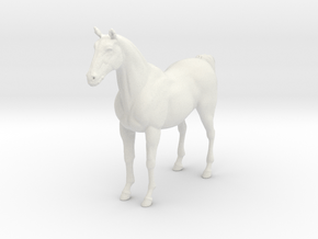 Printle Animal Horse 01 - 1/48 in White Natural Versatile Plastic