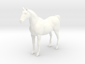 Digital-horse in horse