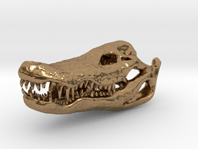 Crocodile Head Skeleton Pendant [30mm] in Natural Brass