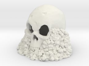 Skull on Rocks in White Natural Versatile Plastic