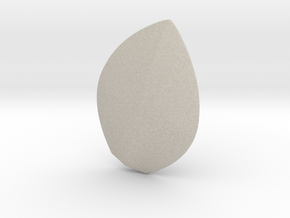 Turtle Shell in Natural Sandstone