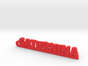 SATURNINA_keychain_Lucky in Red Processed Versatile Plastic