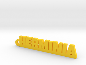 HERMINIA_keychain_Lucky in Polished Brass
