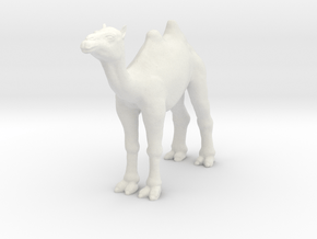 Printle Animal Camel - 1/24 in White Natural Versatile Plastic