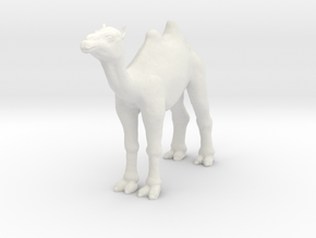Printle Animal Camel - 1/32 in White Natural Versatile Plastic
