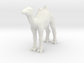 Printle Animal Camel - 1/35 in White Natural Versatile Plastic