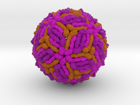 West Nile Virus in Full Color Sandstone
