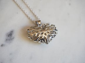 Heart of Ice in Polished Silver