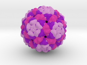 Bacteriophage Qβ in Full Color Sandstone