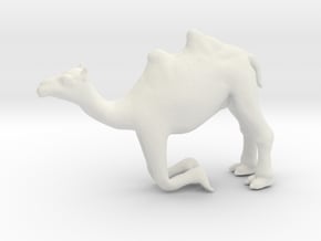 Printle Animal Camel Kneeling - 1/48 in White Natural Versatile Plastic