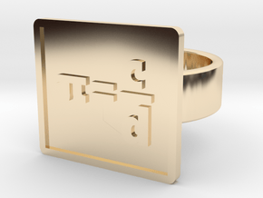 Definition of Pi Ring in 14k Gold Plated Brass: 8 / 56.75