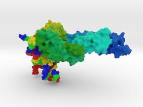 STAT1 with DNA  in Full Color Sandstone