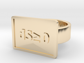 Second Law of Thermodynamics Ring in 14k Gold Plated Brass: 8 / 56.75