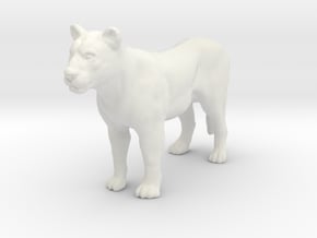 Printle Animal Lioness - 1/32 in White Natural Versatile Plastic