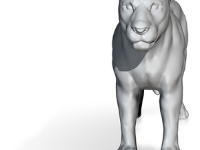 Digital-Lioness_t in Lioness_t