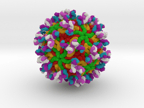 Antibodies Bound to Zika Virus in Full Color Sandstone