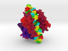 RNase III complexed with dsRNA in Full Color Sandstone