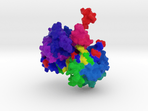 Cre-Lox bound to DNA in Full Color Sandstone