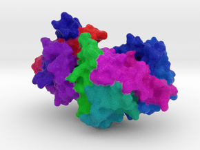 α1-Antitrypsin in Full Color Sandstone