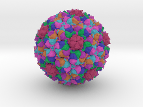 Staphylococcus Phage 80α in Full Color Sandstone