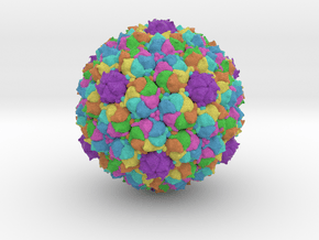 Staphylococcus Phage 80α in Full Color Sandstone