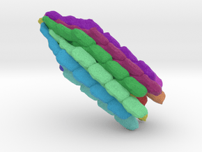 Flagellar Filament in Full Color Sandstone