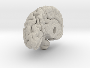 Left Brain Hemisphere 1/1 in Natural Sandstone
