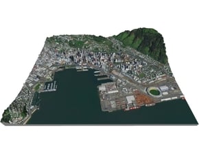 Colored Map of Downtown Wellington, New Zealand  in Full Color Sandstone