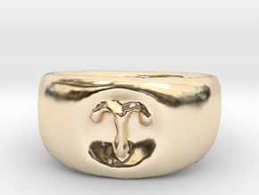 Aries Ring sz8 in 14K Yellow Gold
