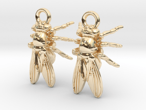 Drosophila Fruit Fly Earrings - Science Jewelry in 14K Yellow Gold