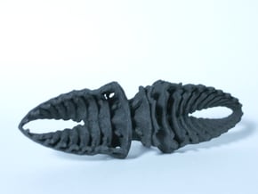 Bowtie Beetle in Black Natural Versatile Plastic